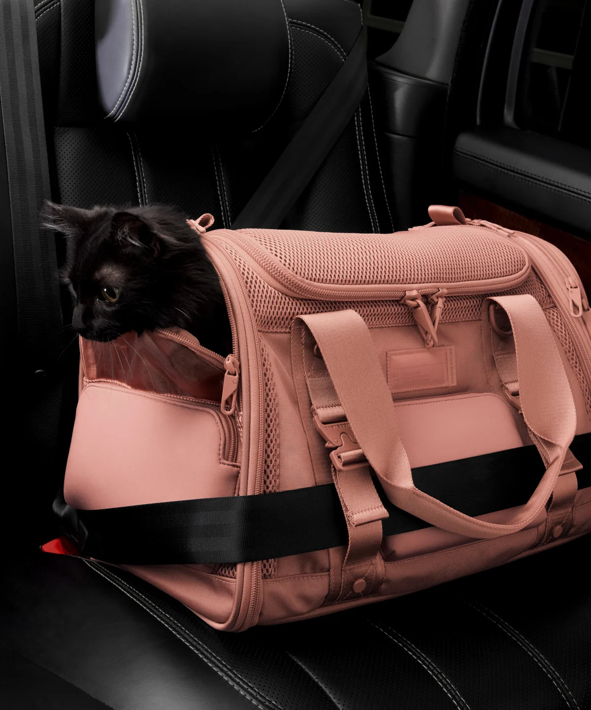 Kyoto Pet Carrier in Warm Dust, Large