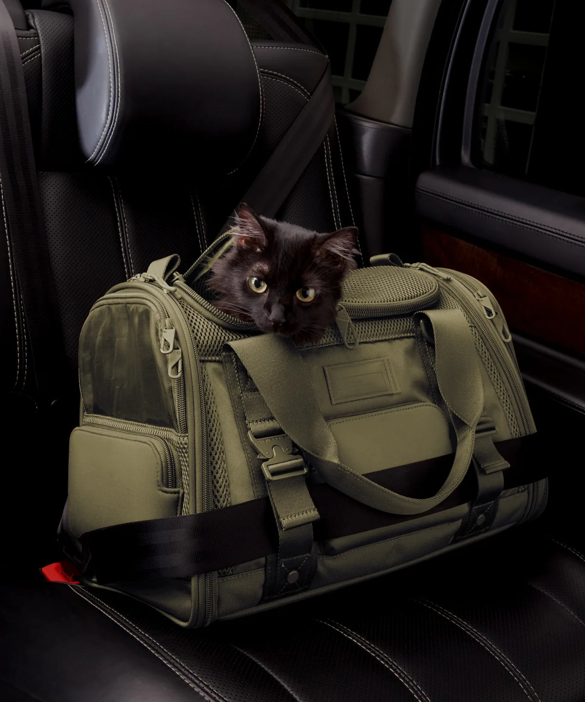 Kyoto Pet Carrier in Dark Moss, Small