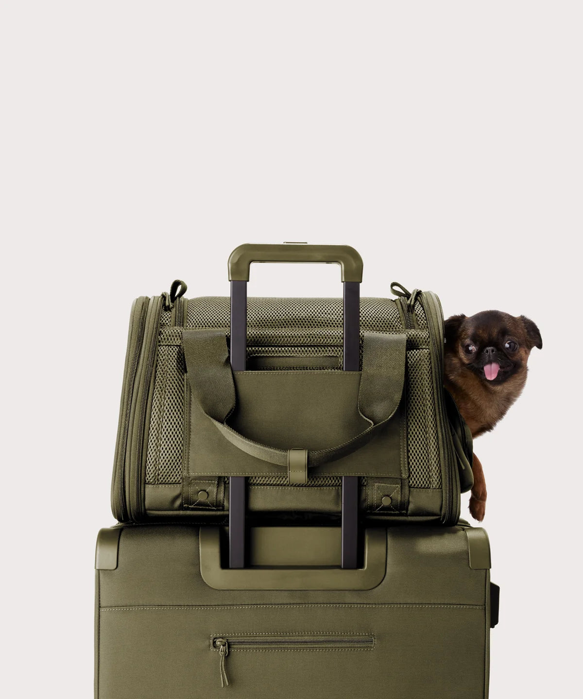 Kyoto Pet Carrier in Dark Moss, Small