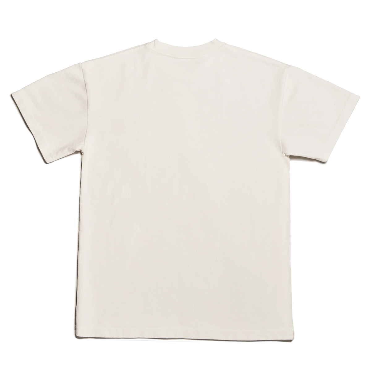 Varsity Logo T-shirt in Moonbeam, XL