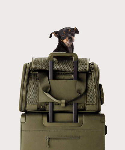 Kyoto Pet Carrier in Dark Moss, Large