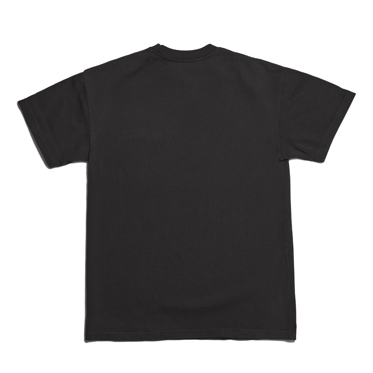Varsity Logo T-shirt in Onyx, 4X