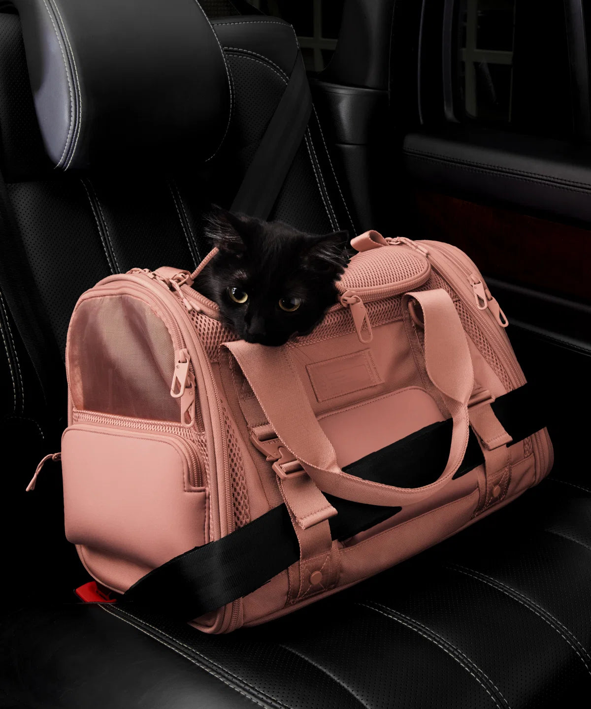 Kyoto Pet Carrier in Warm Dust, Small