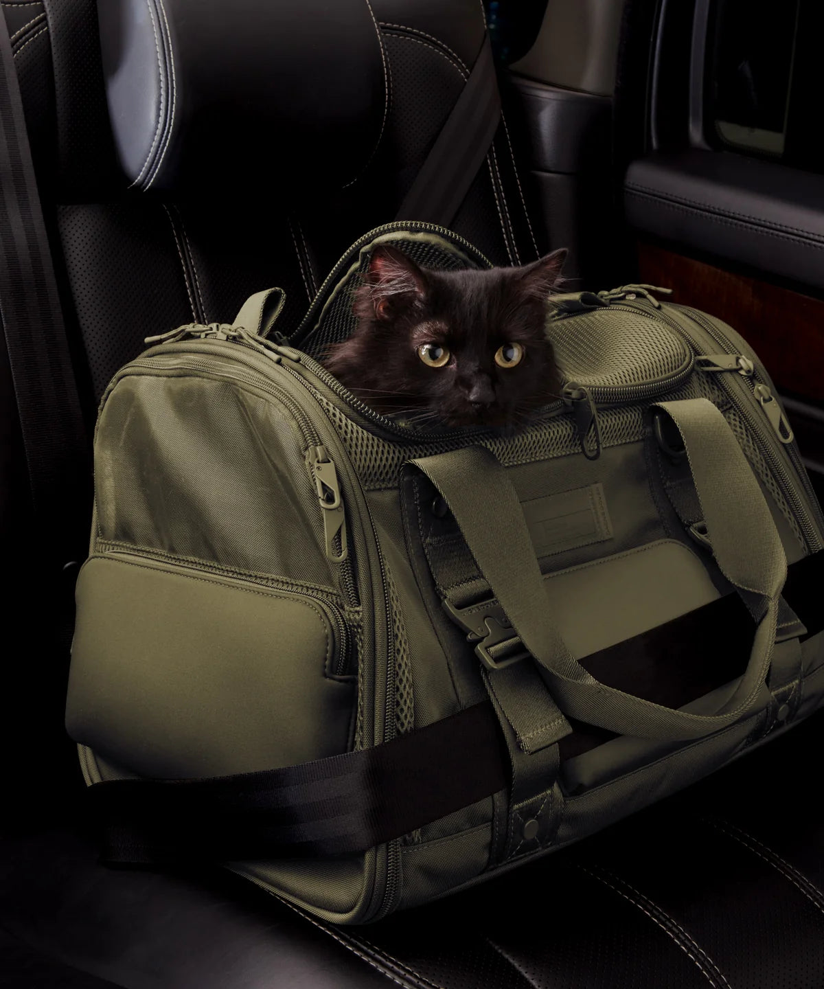 Kyoto Pet Carrier in Dark Moss, Large