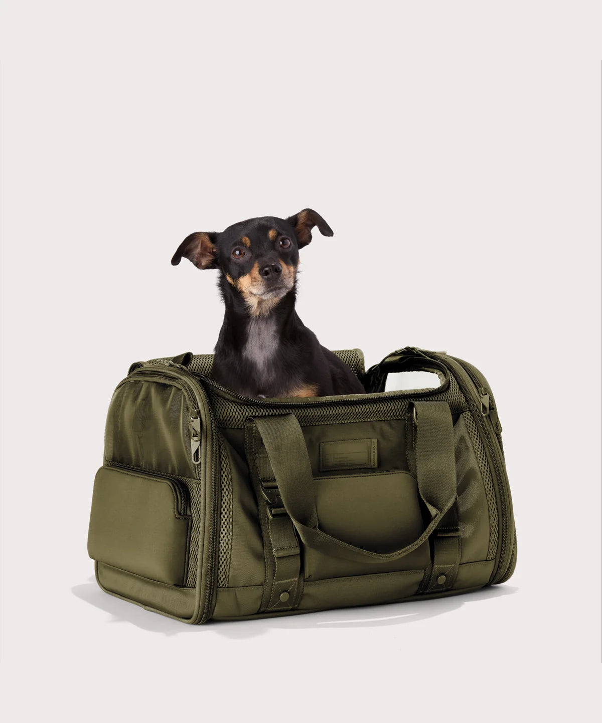Kyoto Pet Carrier in Dark Moss, Large